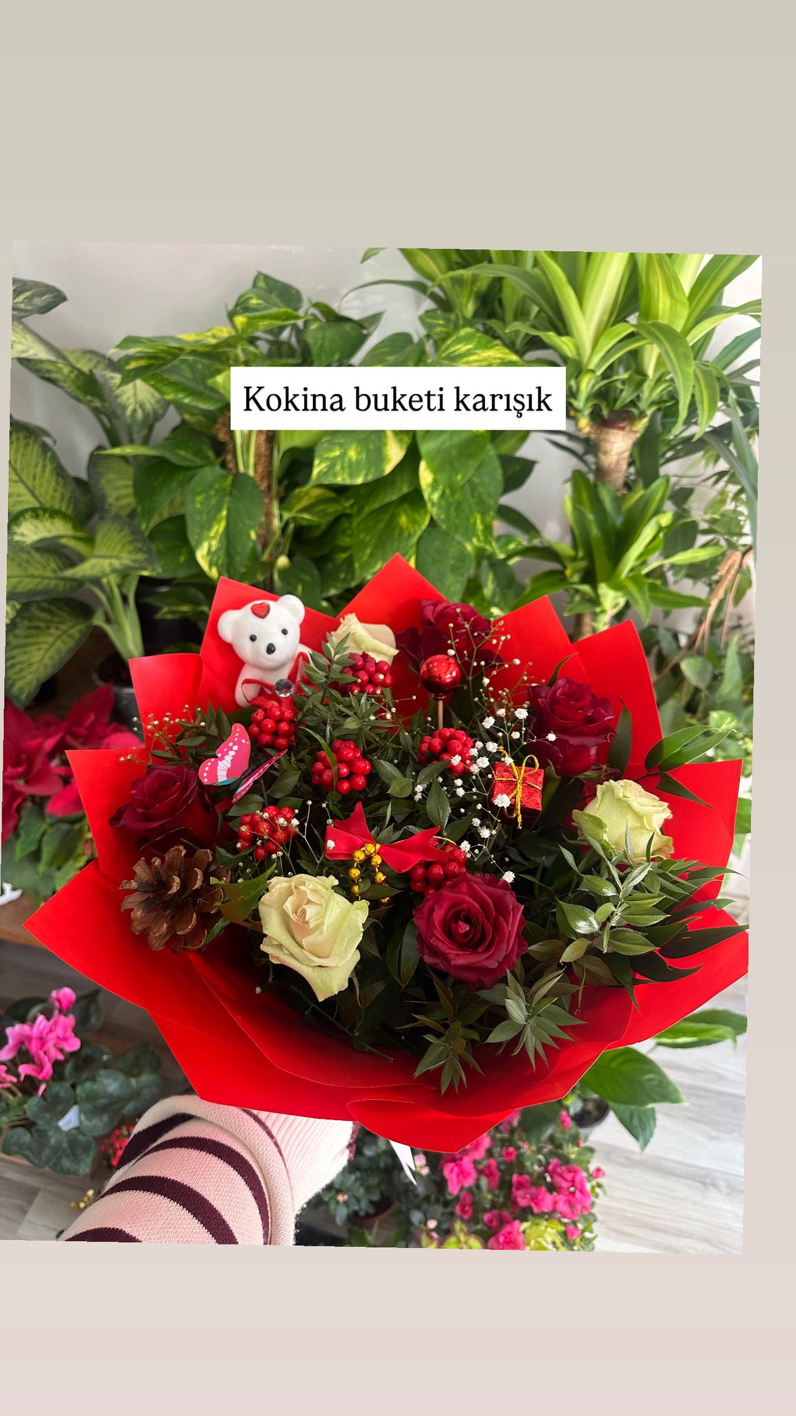 Kokina ve Gül Buket