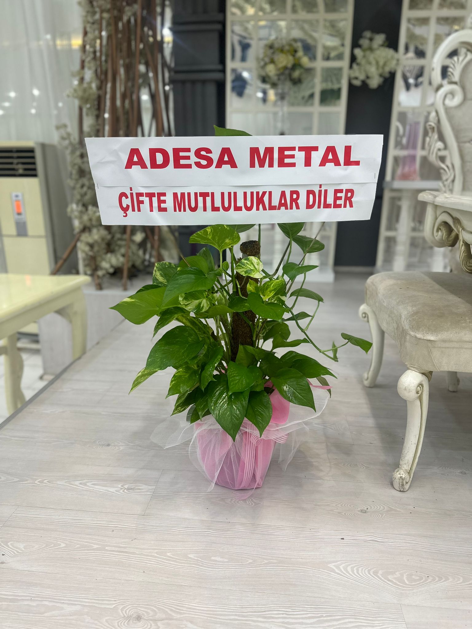 Açılış Çiçeği